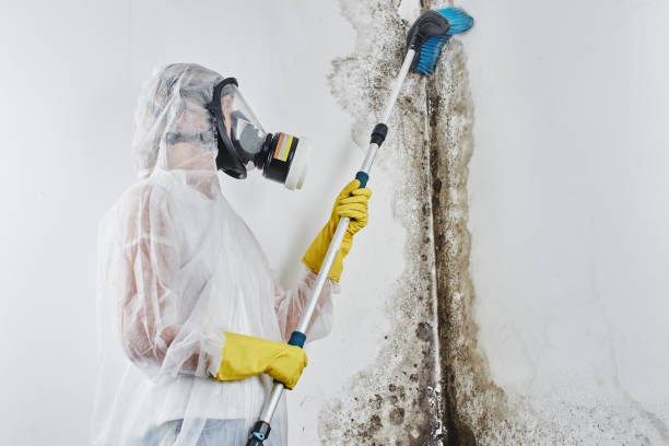 Water Damage Restoration in Herington, KS