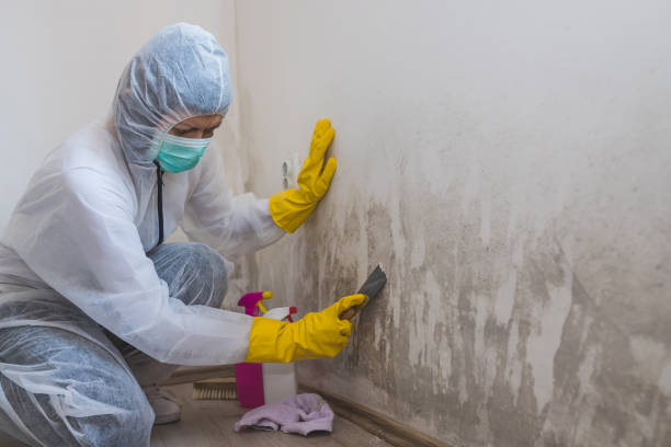 Certified Mold Removal in Herington, KS