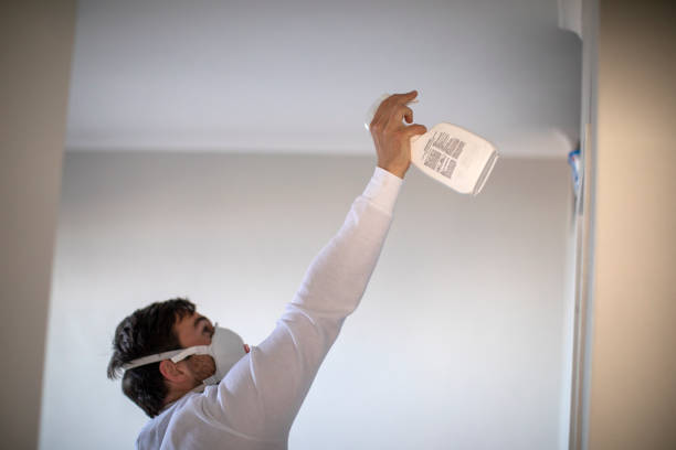 Best Mold Removal Process  in Herington, KS