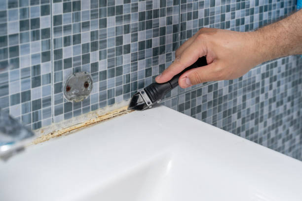 Best Fast Mold Removal  in Herington, KS