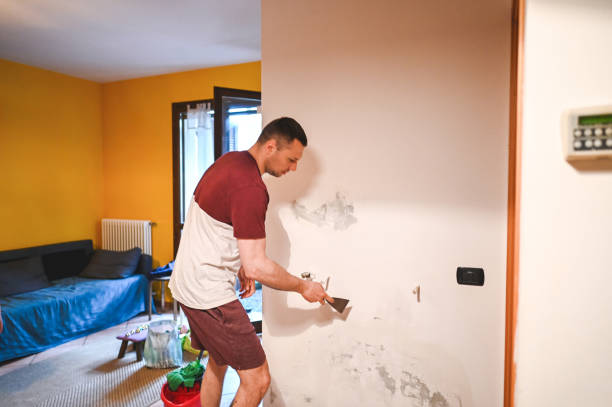 Best Home Mold Removal  in Herington, KS